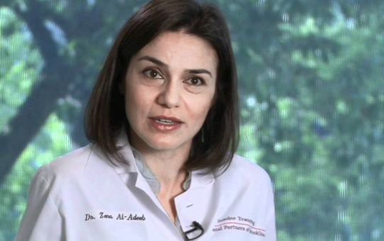 When Did dr. zena al-adeeb Begin Her Career?