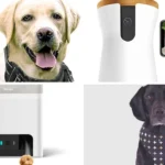 What are popular pet products bought online?