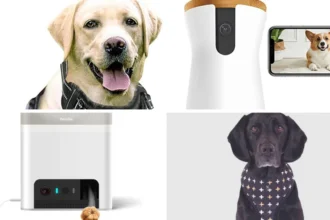 What are popular pet products bought online?