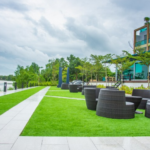 Sustainability Amidst the Sands: Green Landscaping Solutions in Dubai