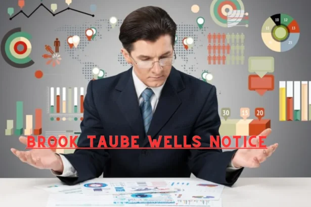 Investment Strategies by brook taube sec