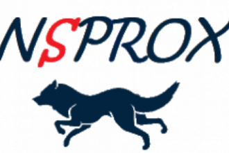 dnsproxy.org ddos protection