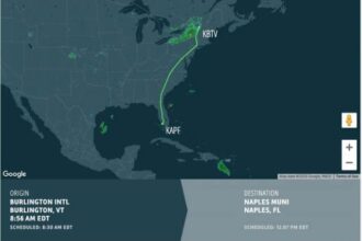 Who Can Benefit from Flightaware?