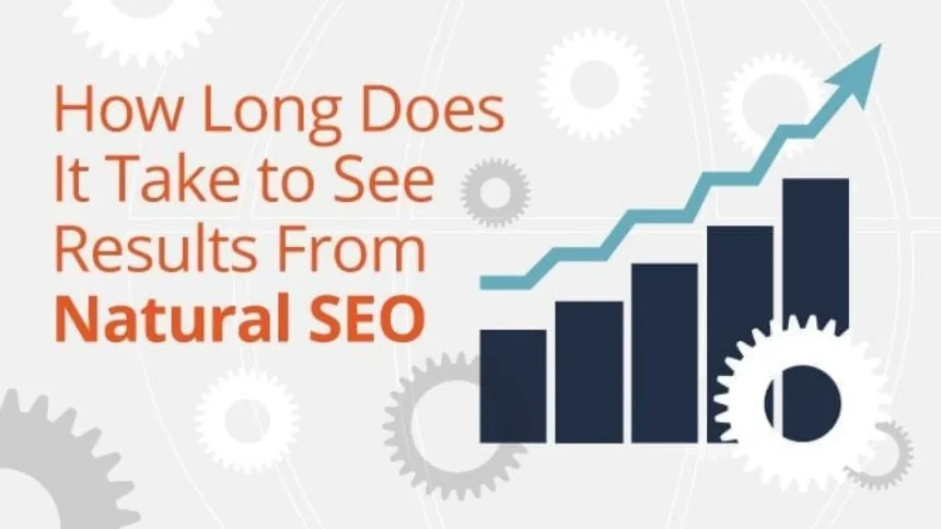How long does it take to see results from SEO?