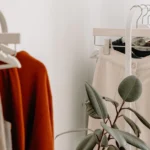 Surprising Benefits of Choosing Eco-Friendly Clothing for Your Wardrobe