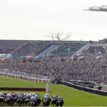 Horse racing betting: How to follow the stats & trends