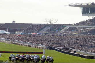 Horse racing betting: How to follow the stats & trends