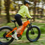 Leoguar Strider Electric Mountain Bike