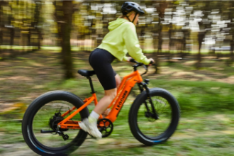 Leoguar Strider Electric Mountain Bike