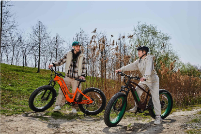 Leoguar Strider Electric Mountain Bike