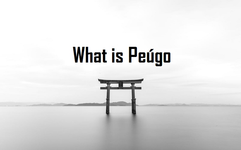 what is peúgo and Who Can Benefit from Peúgo?