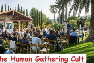 Human Gathering Cults: Understanding the Psychology and Impact