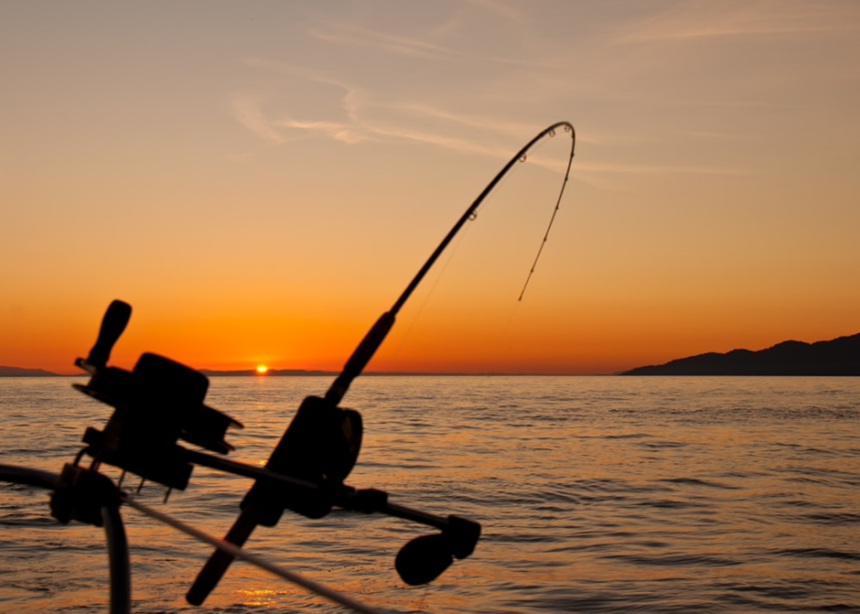 Saltwater Spinning Reels: Features to Consider for Tackling Large Game Fish