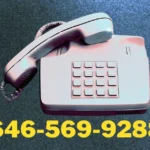 Why Is 646-569-9288 Important?