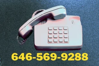 Why Is 646-569-9288 Important?