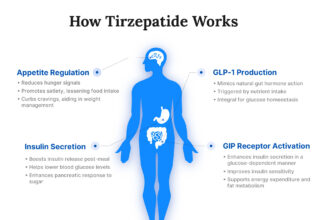 The Science behind Tirzepatide: Understanding Its Weight Loss Mechanism