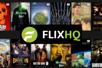 Is hqflix the Future of Streaming?