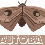 Discover the autobà: The Ultimate Guide to This Innovative Solution