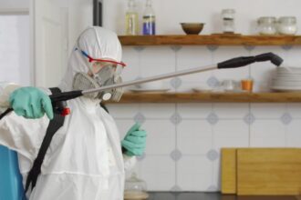 Pest Solutions for Effective Pest Control