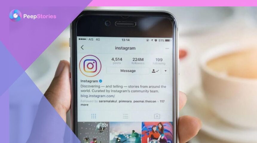 Instagram Story Viewer: Breaking Down the Anonymous Feature