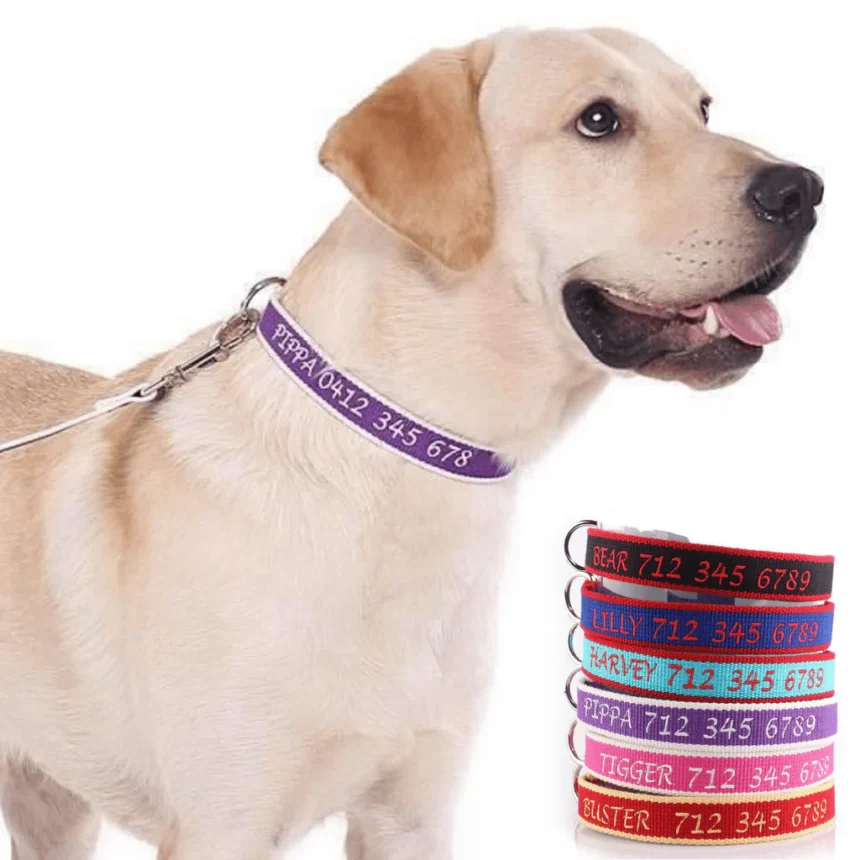 What Makes Custom Dog Collars a Perfect Choice for Every Dog?