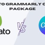 envato grammarly canva package