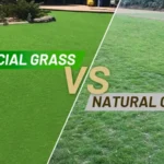 Real Grass Vs Fake Lawns: Is Artificial Grass Worth The Outlay?