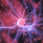 neuroscience and bioelectronics