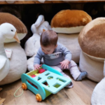 rom Traditional Toys to Smart Play