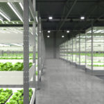 Indoor Growing and Vertical Farming: Shaping the Future of the Freshly Grown Food Market  