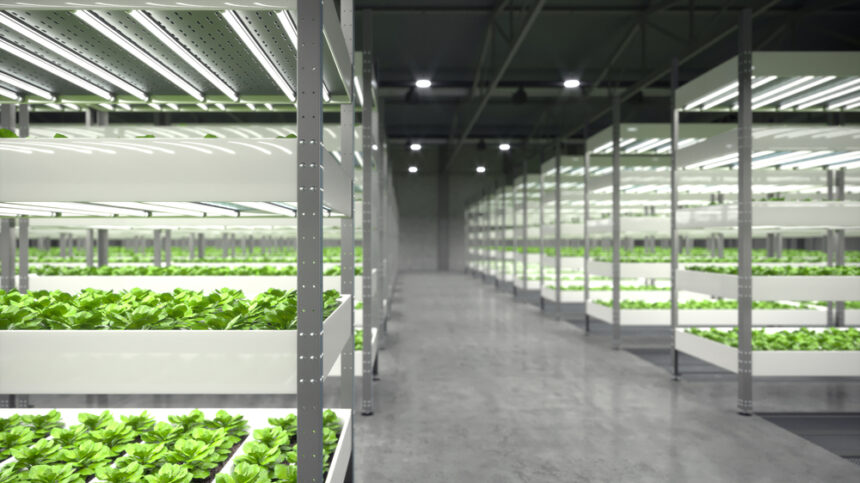 Indoor Growing and Vertical Farming: Shaping the Future of the Freshly Grown Food Market  