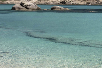Discovering Elia Beach in Mykonos: Hotels & Surroundings