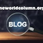How Has the oneworldcolumn.org blog Evolved Over Time?