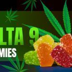 Best Delta 9 Gummies of 2024