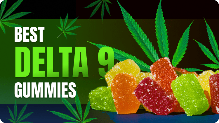 Best Delta 9 Gummies of 2024