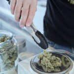 Uncovering Hidden Gems: How to Locate the Perfect Dispensary Outlet