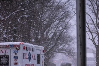 Behind the Wheel: Driving Techniques for Paramedic Driver