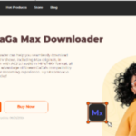 StreamGaGa Max Downloader Review