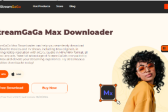 StreamGaGa Max Downloader Review