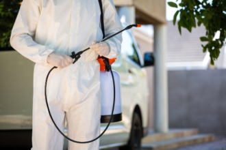 The Dangers of Delaying Emergency Pest Control and How to Take Immediate Action