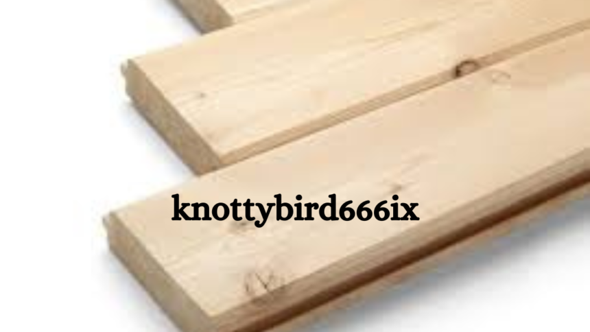 Where Does knottybird666ix Come From?