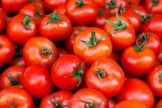 What Are the Benefits of Eating rotten tomatoes?