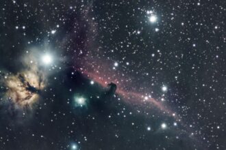 Exploring the Wonders of the Stars-895
