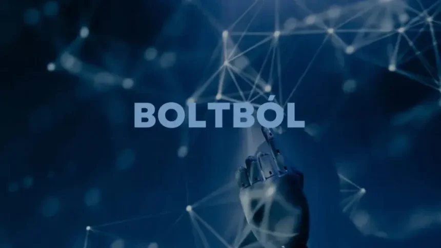 Exploring the Benefits of Boltból