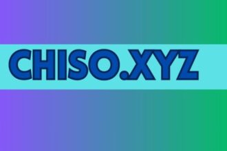 Why Should You Use Chiso.xyz?
