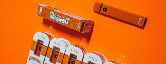 Dabwoods Vap A Comprehensive Guide to Disposable Vapes