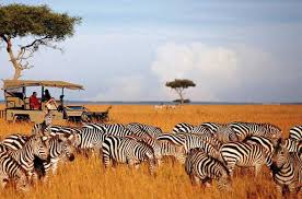 Masai Mara Safari Holidays