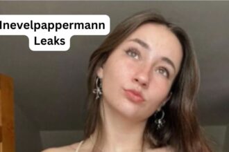 Who Is Responsible for the nnevelpappermann leaks?