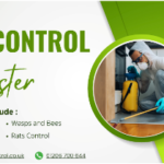 Expert Tips for Pest Control in Colchester