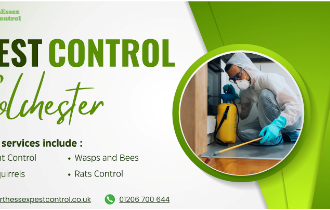 Expert Tips for Pest Control in Colchester